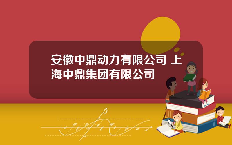 安徽中鼎动力有限公司 上海中鼎集团有限公司